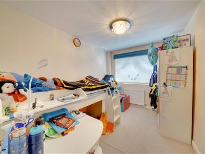 Picture 20